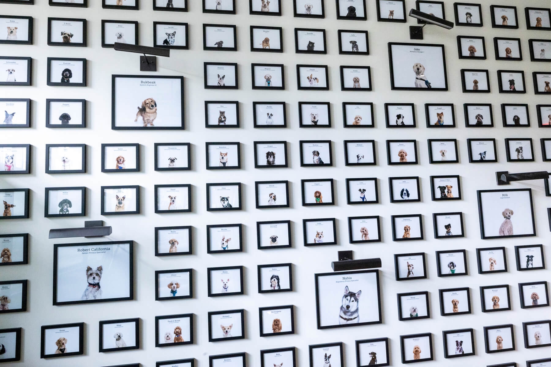 An image of a big wall of dog photos at Amazon HQ2
