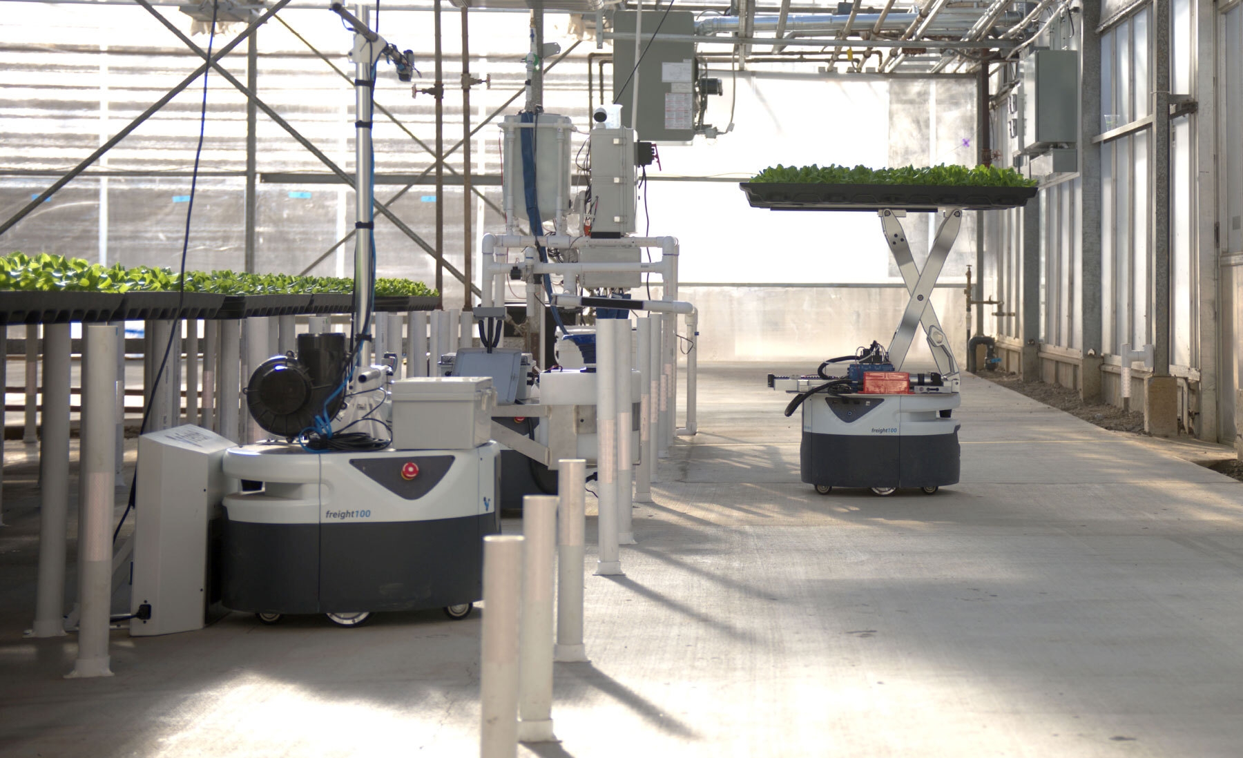 An image of an off-the-shelf robot moving to farm the plants at a Hippo Harvest greenhouse. 