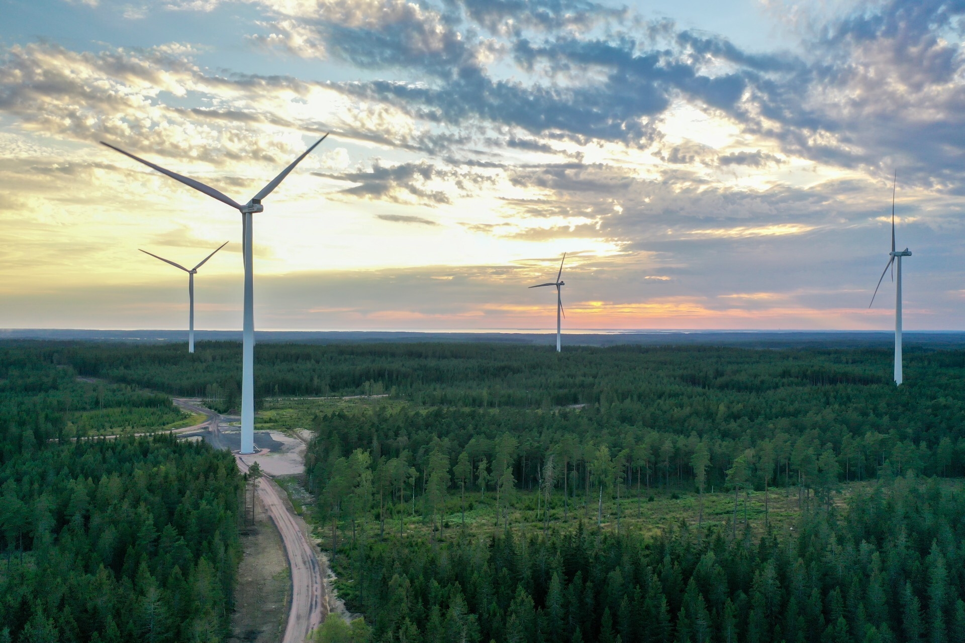 A sustainable wind farm.