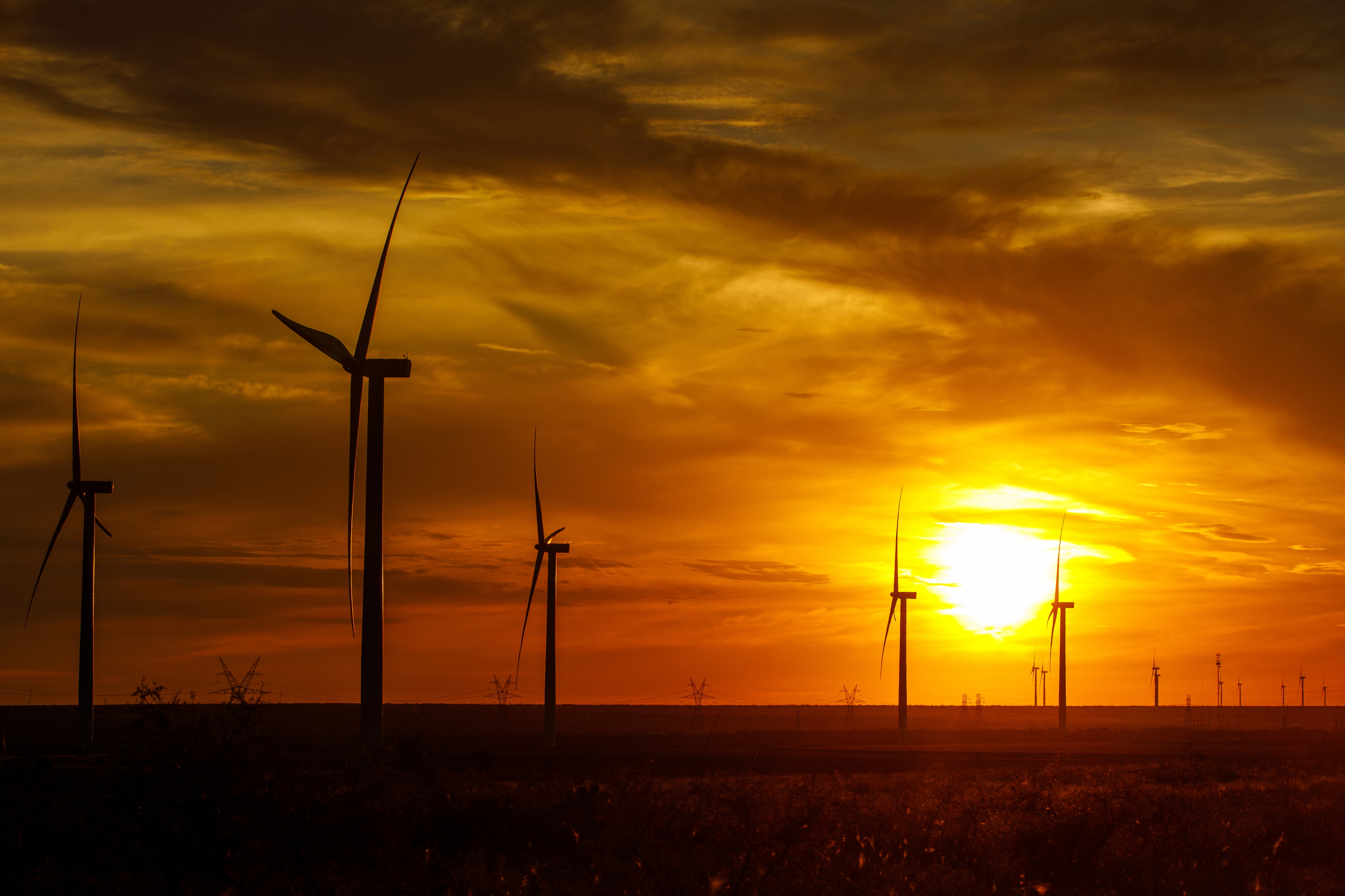 Amazon Wind Farm launches in Texas. 