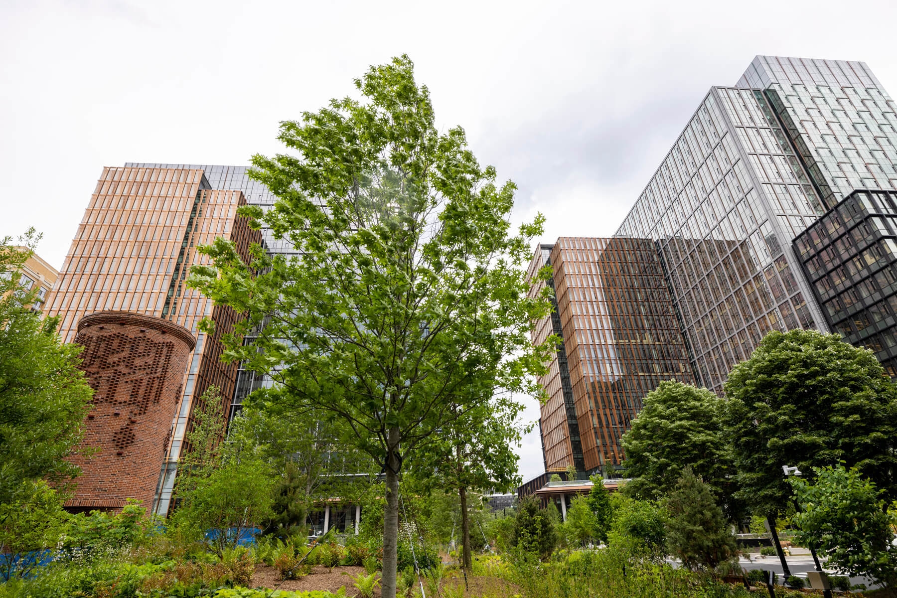 An image of the outside of Amazons HQ2. There are several tall towers in the background and trees in the foreground. 