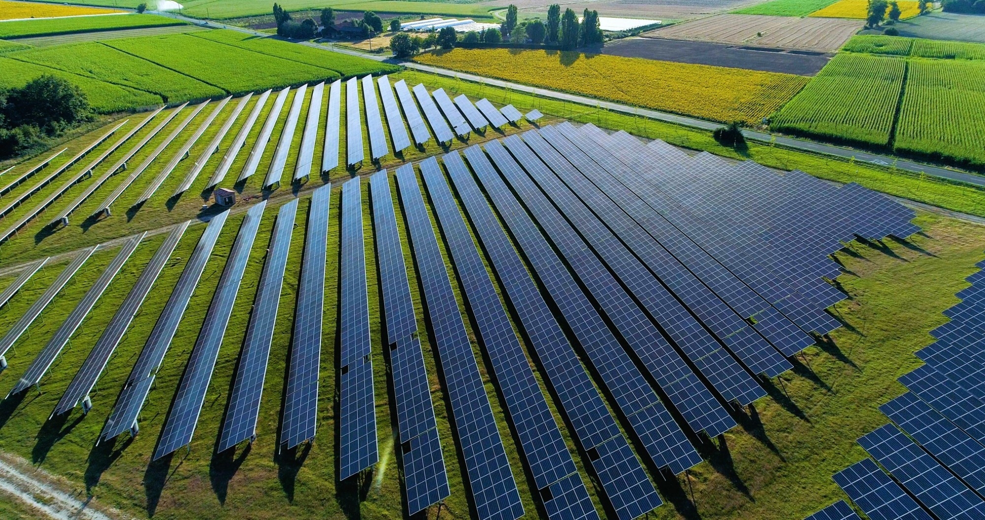 An image of a field of solar panels with lush, green fields in the background