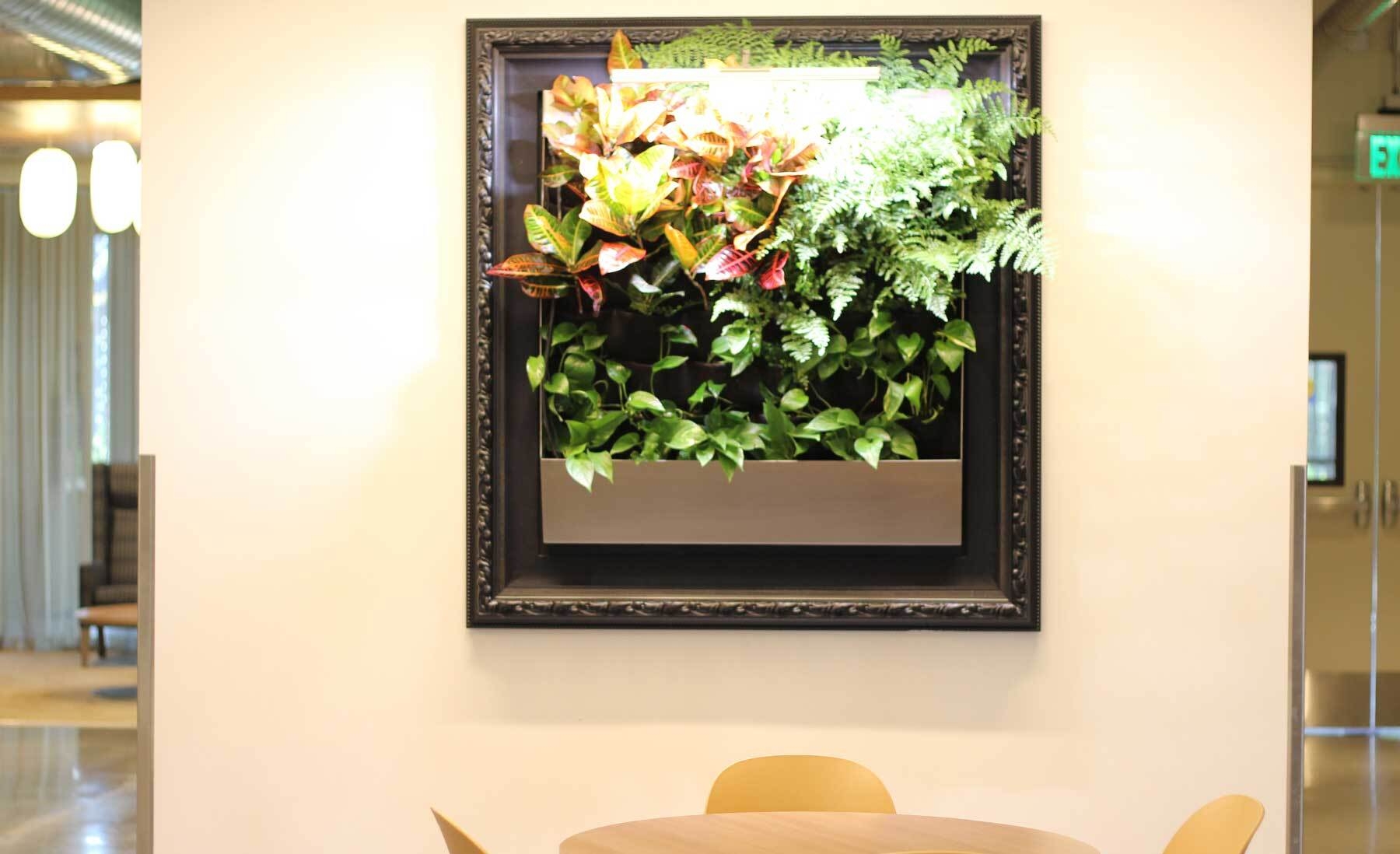 An image of wall art with plants on it