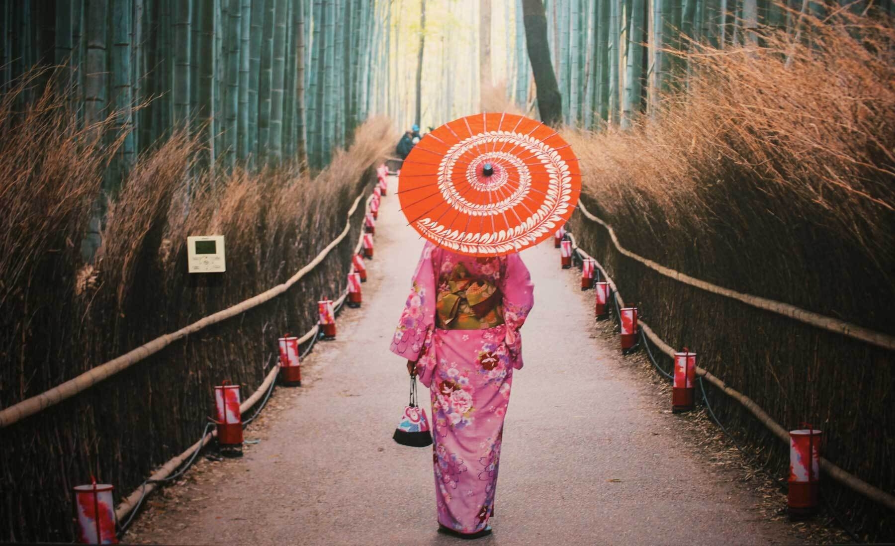 An image of a mural on the wall that features a woman in a traditional kimono walking with an umbrella trailing behind her.