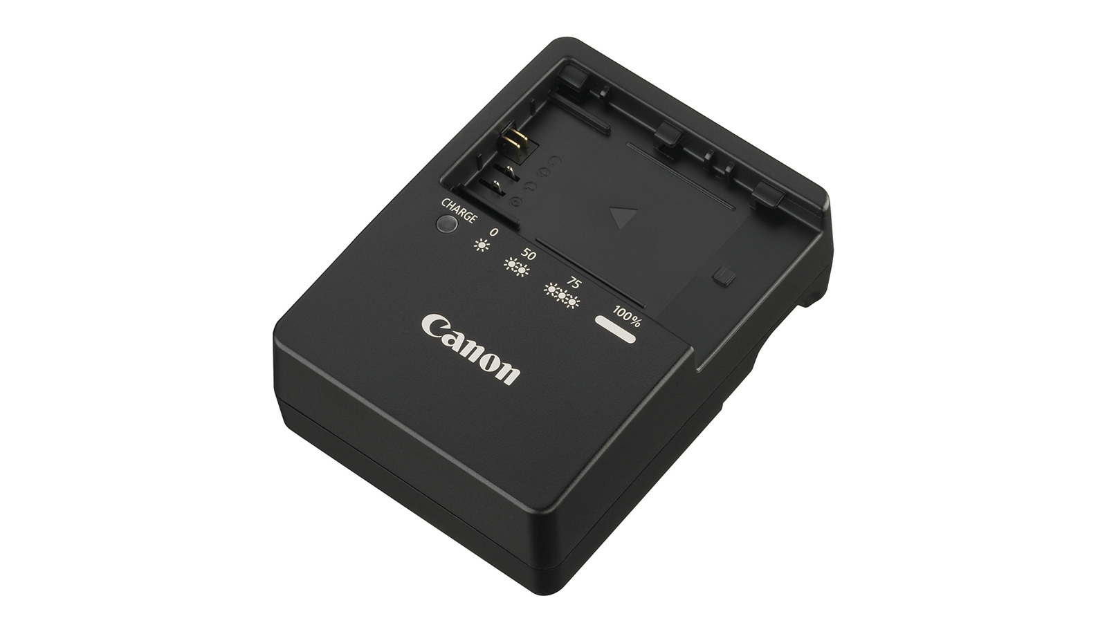 Canon battery and charger.