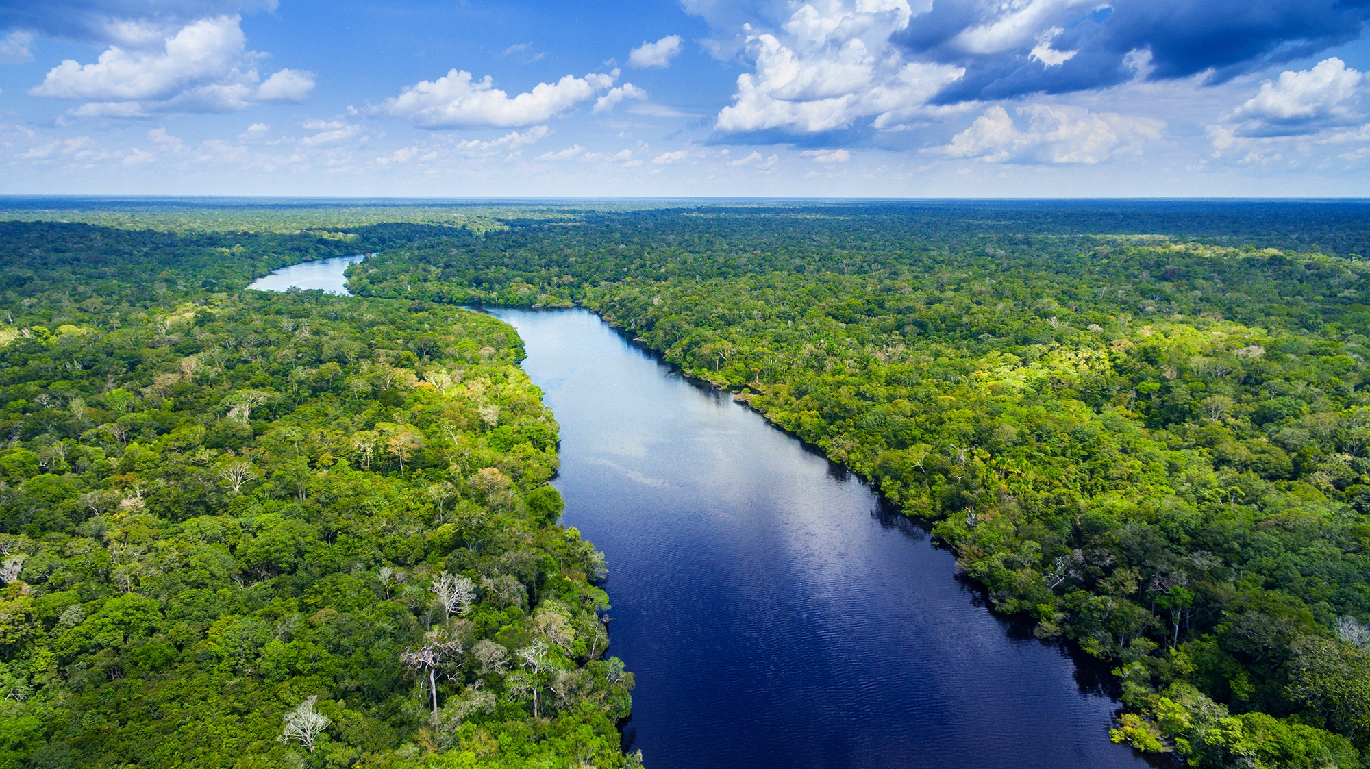 Amazon river cuts through rainforests in Brazil 