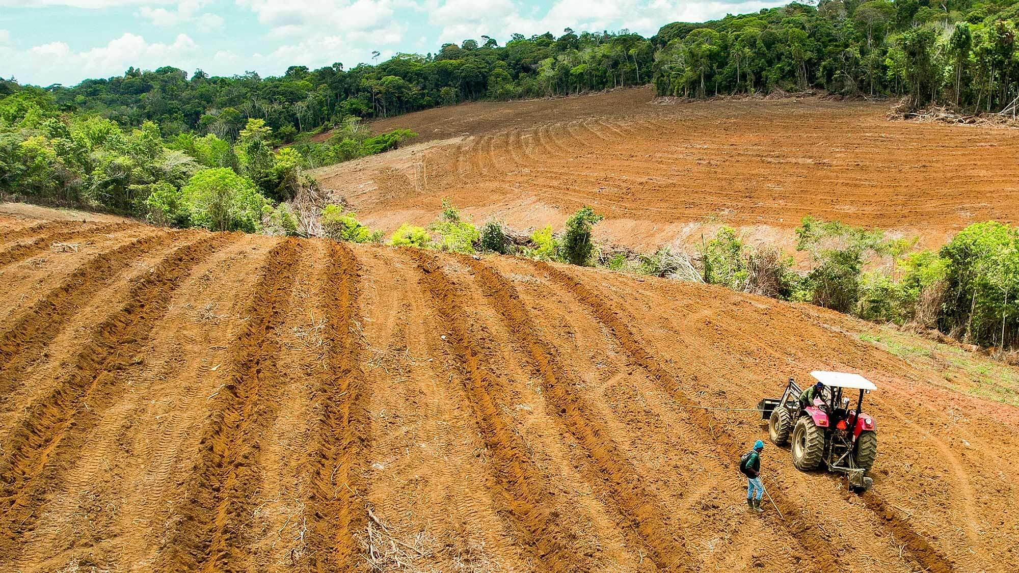 An image of a tractor from start-up Belterra and a farmer working on empty land. 