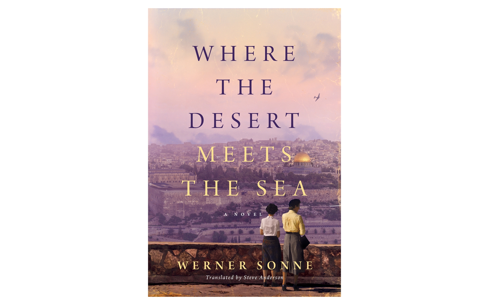 The cover art for the book "Where the desert meets the sea" 
