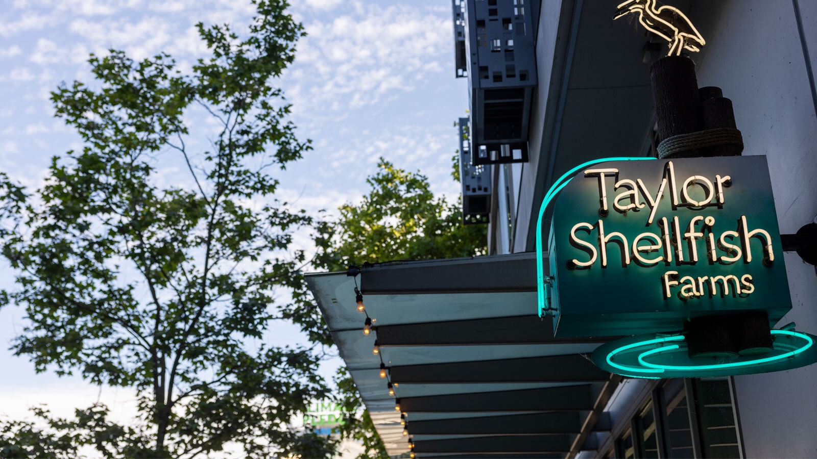 An image of the outside of the restaurant for Taylor Shellfish Farms near Climate Pledge Arena in Seattle.