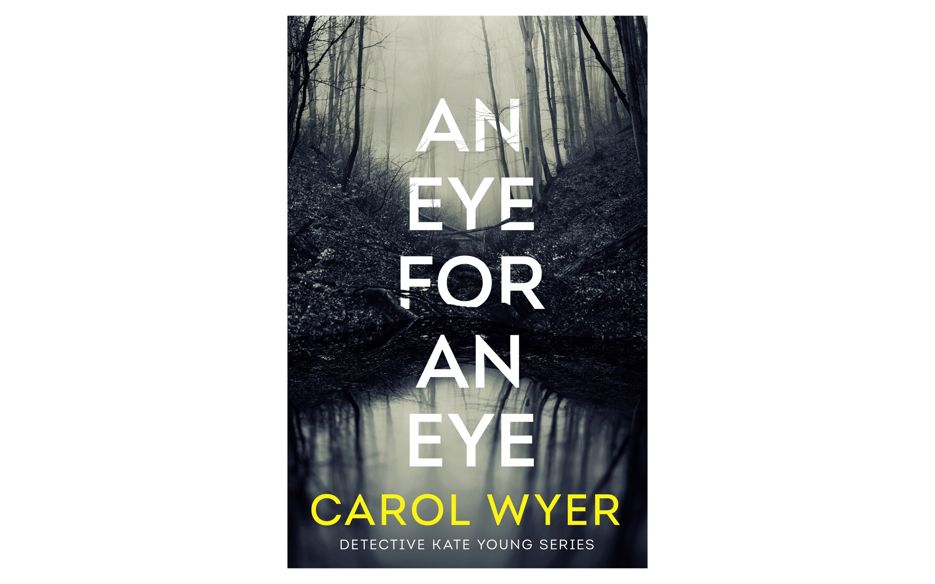 Cover art for the book "An eye for an eye Amazon"