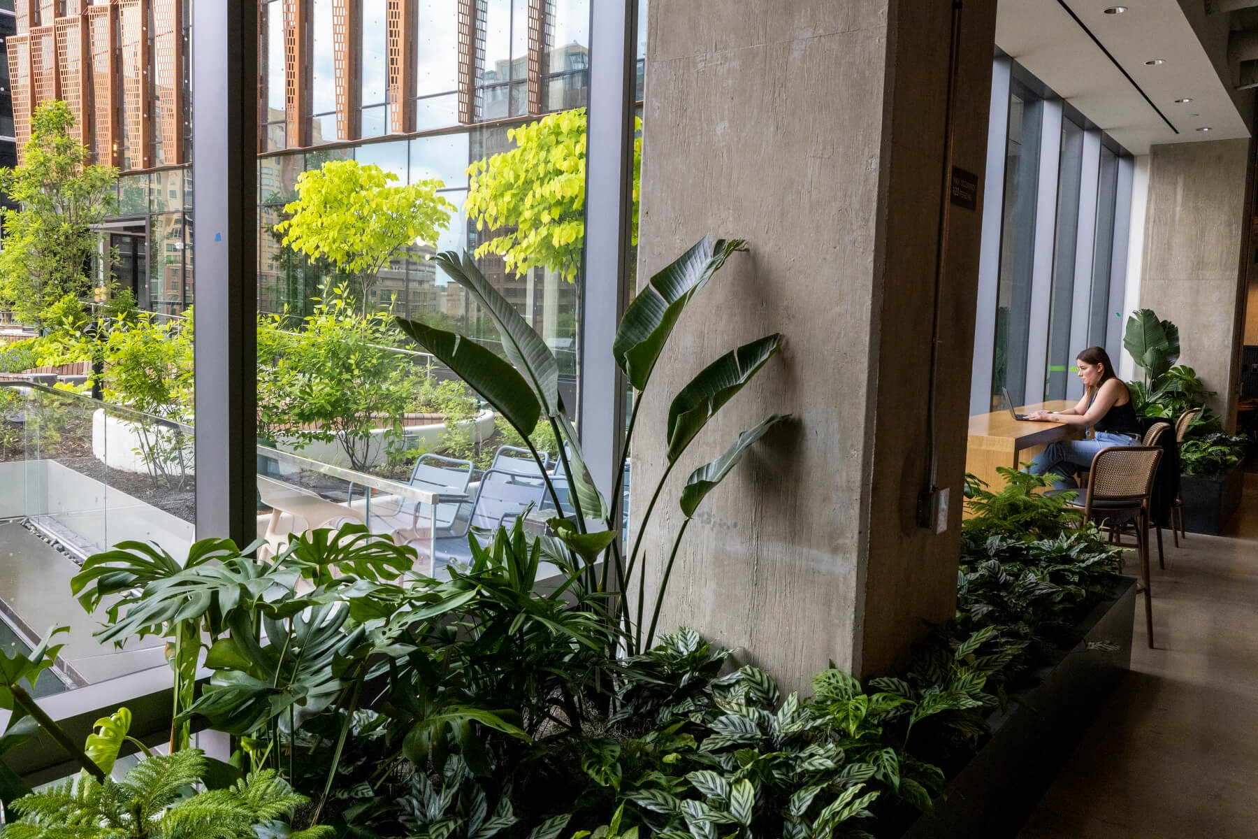 An image of several plants in front of a window at Amazon HQ2