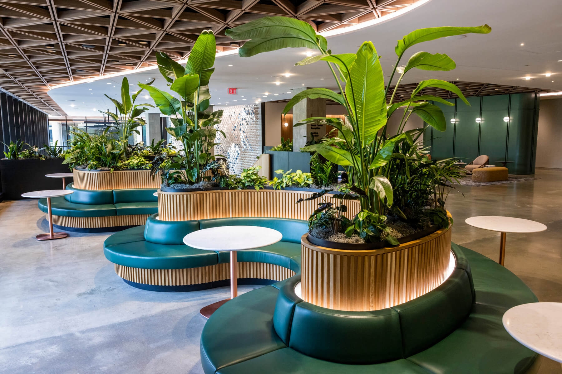 An image of a green seating area in Amazon HQ2. There are long, curved benches inside booths, and plants in between. There is an elaborate lattice woodwork on the ceiling.