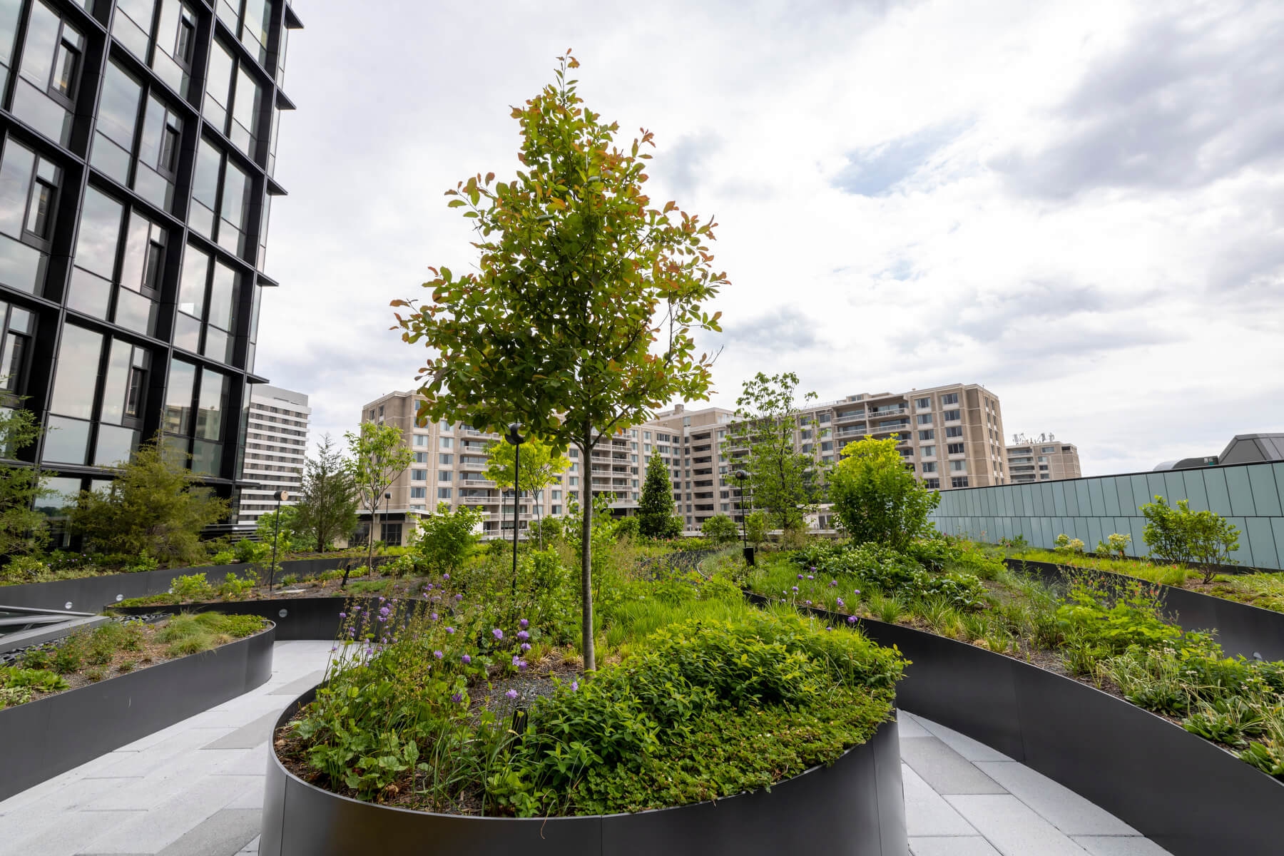 An image of a terrace with greenery at Amazon's HQ2